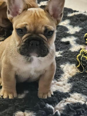 Arthur